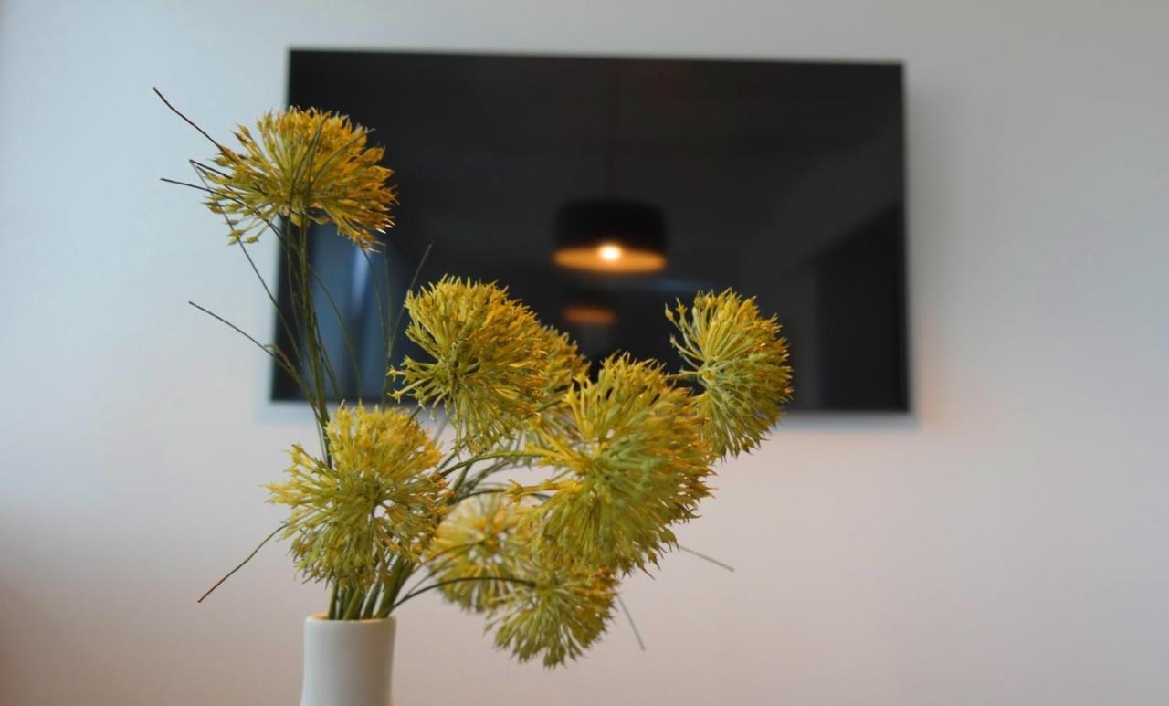 Apartment Flora プーラ エクステリア 写真
